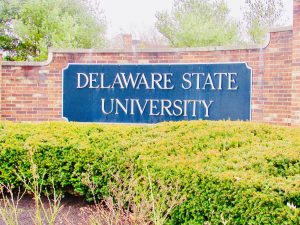student lawyers in delaware